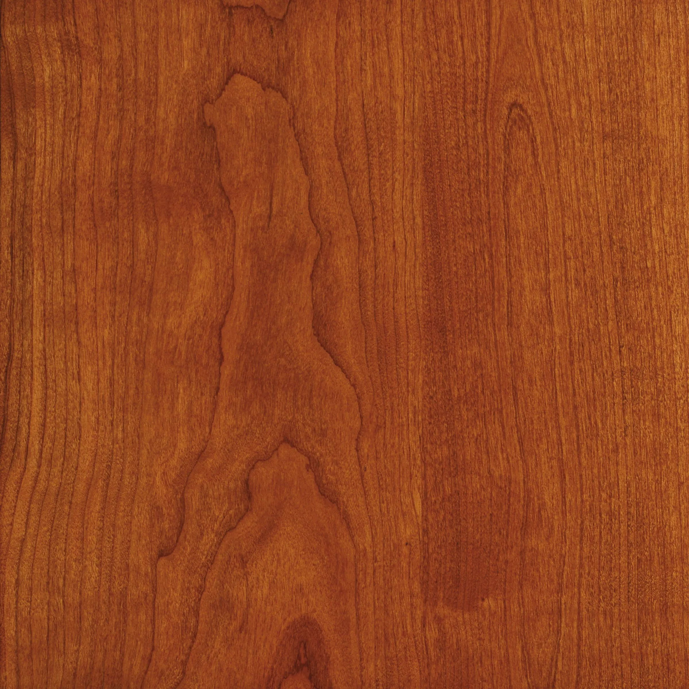 Copeland Sarah bookcase