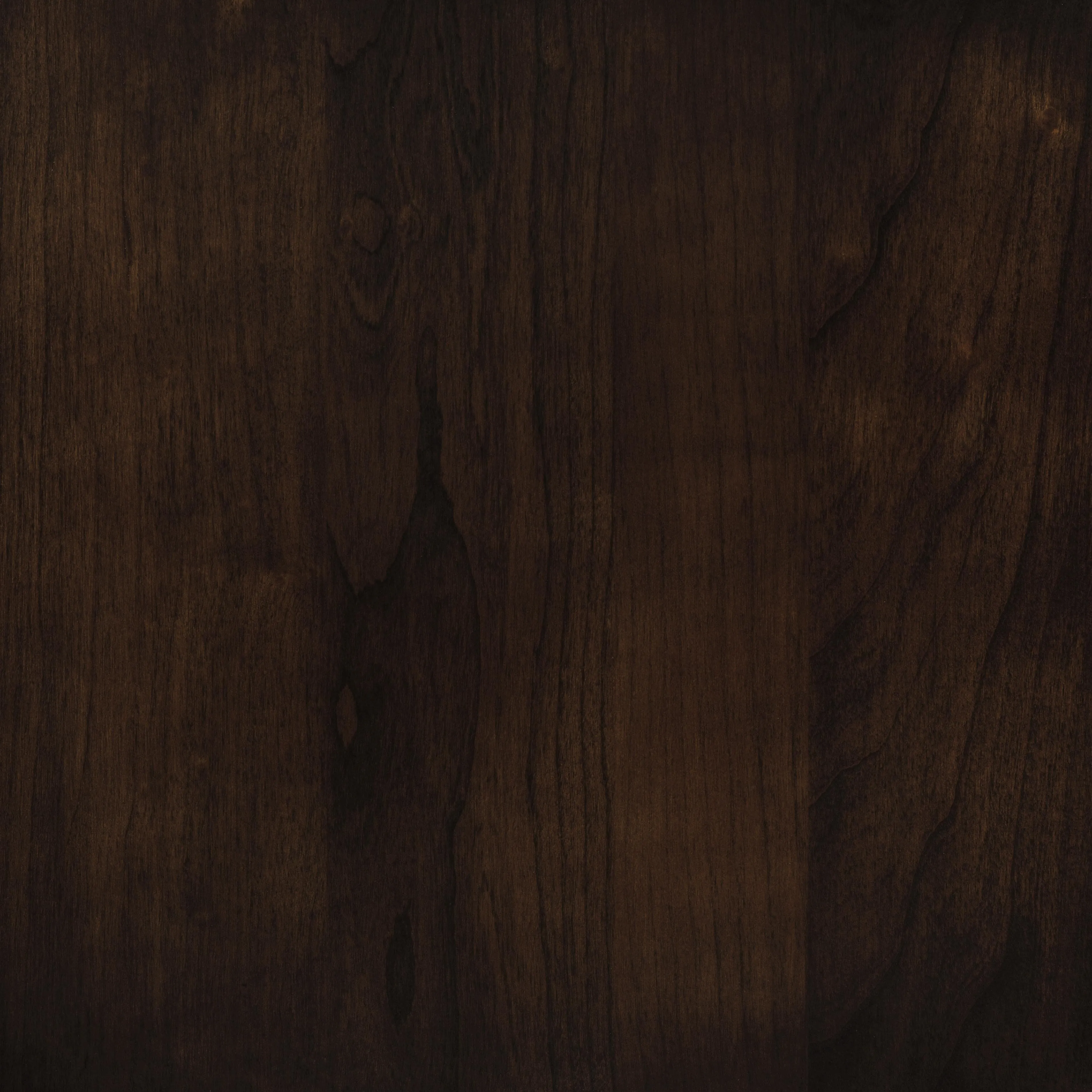 Copeland Sarah bookcase