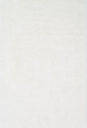 Danso Shag Rug in Ivory