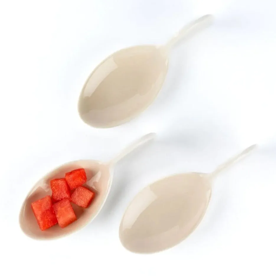 Fish Shape Small Porcelain Platter Set of 3 By Rena