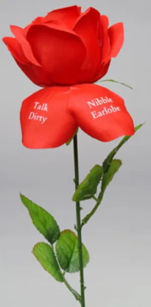 Fleur D'Amour Rose of Love