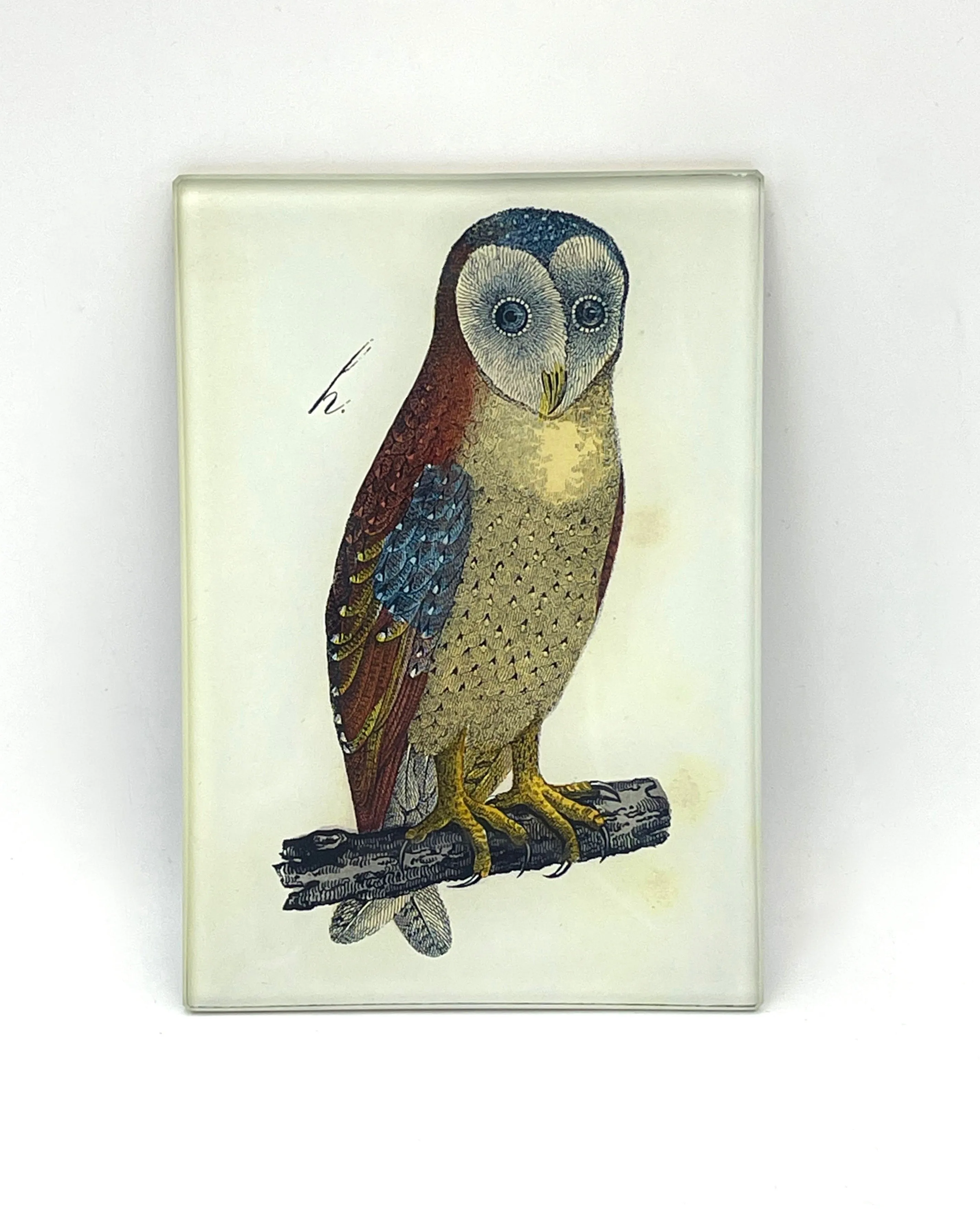 John Derian 3.5 x 5" Tiny Rectangular Trays