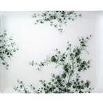 Les Oiseaux Large Acrylic Tray