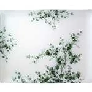 Les Oiseaux Large Acrylic Tray