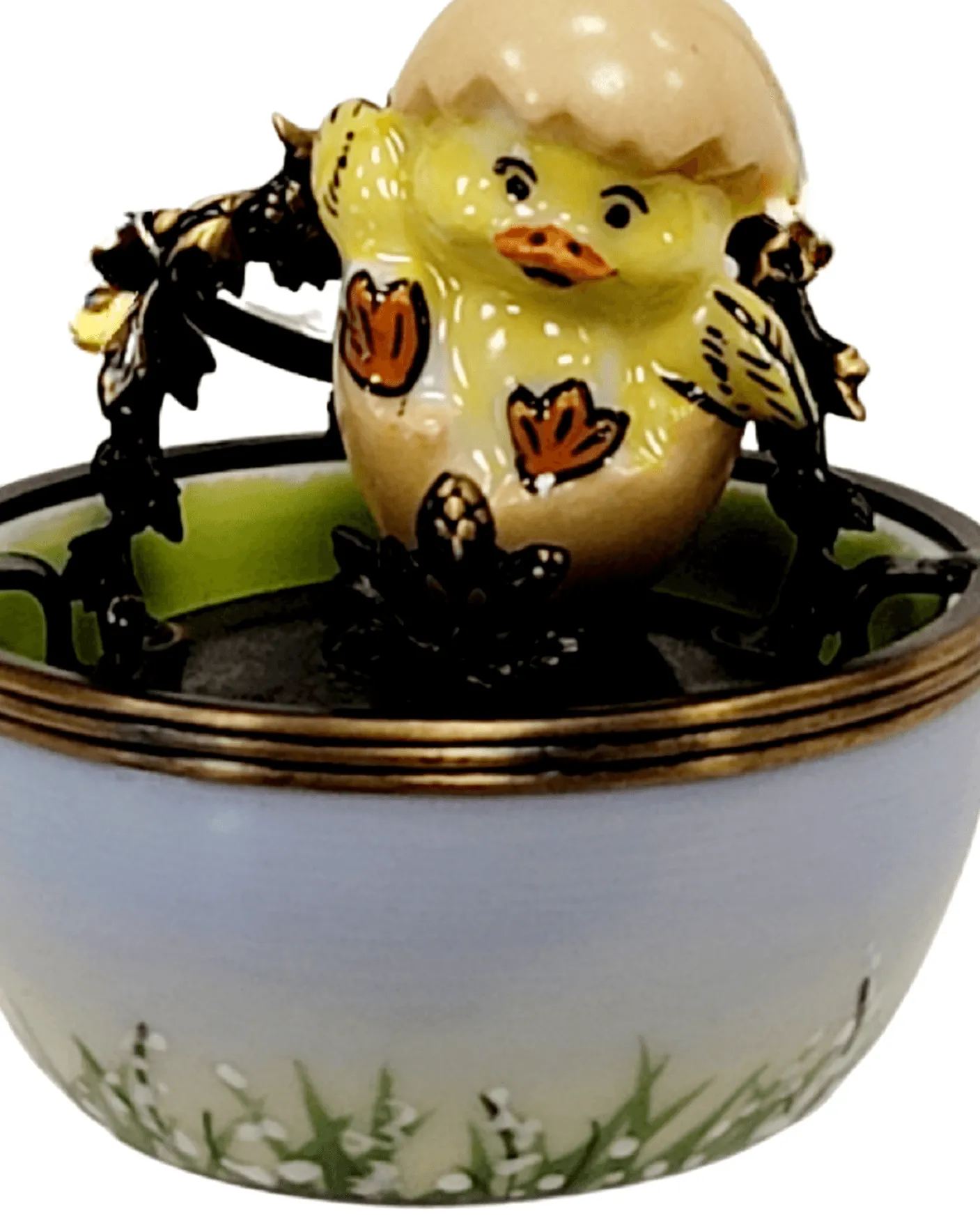 Lil Chick in Egg at Farm Chicken