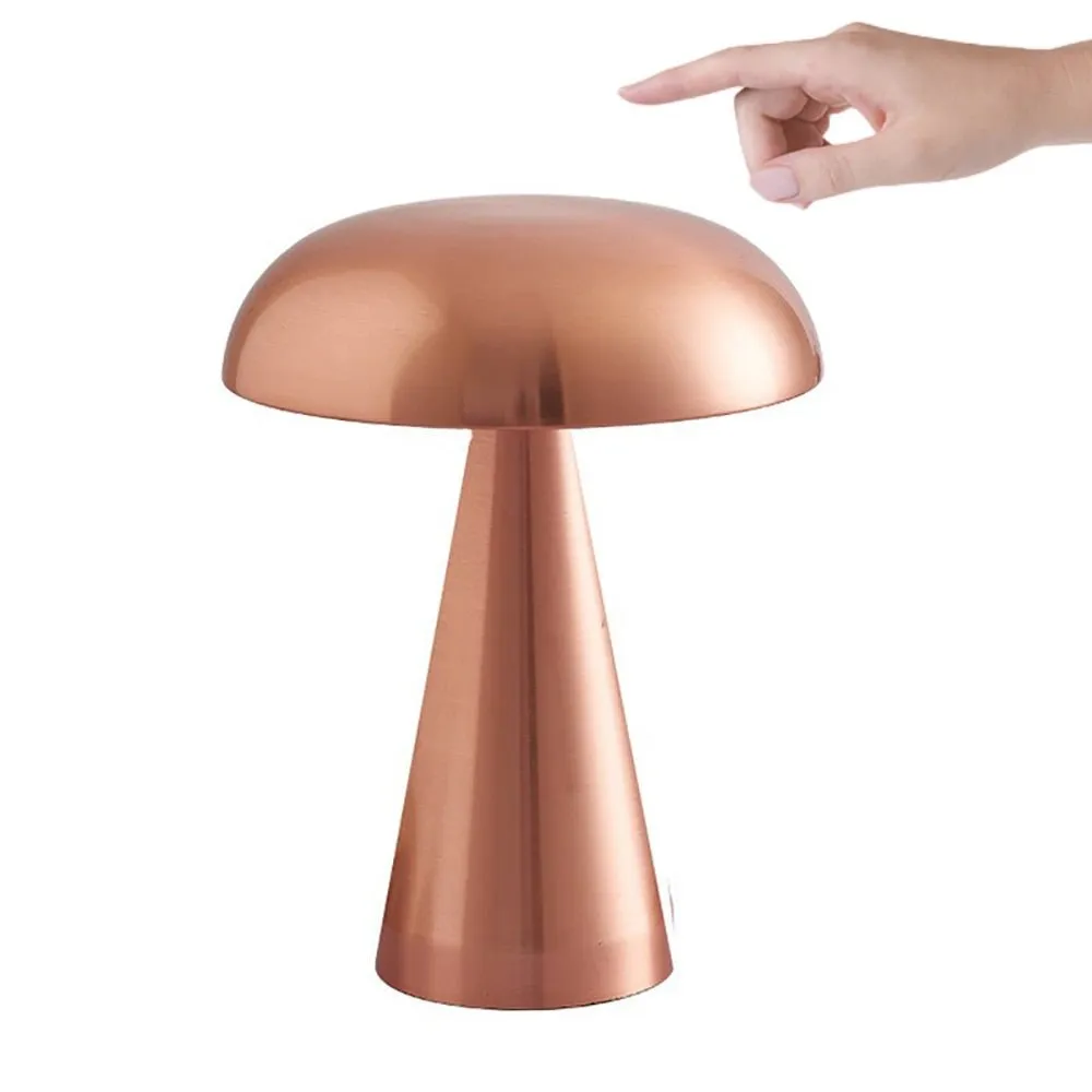 Modern Table Lamp With LED Light