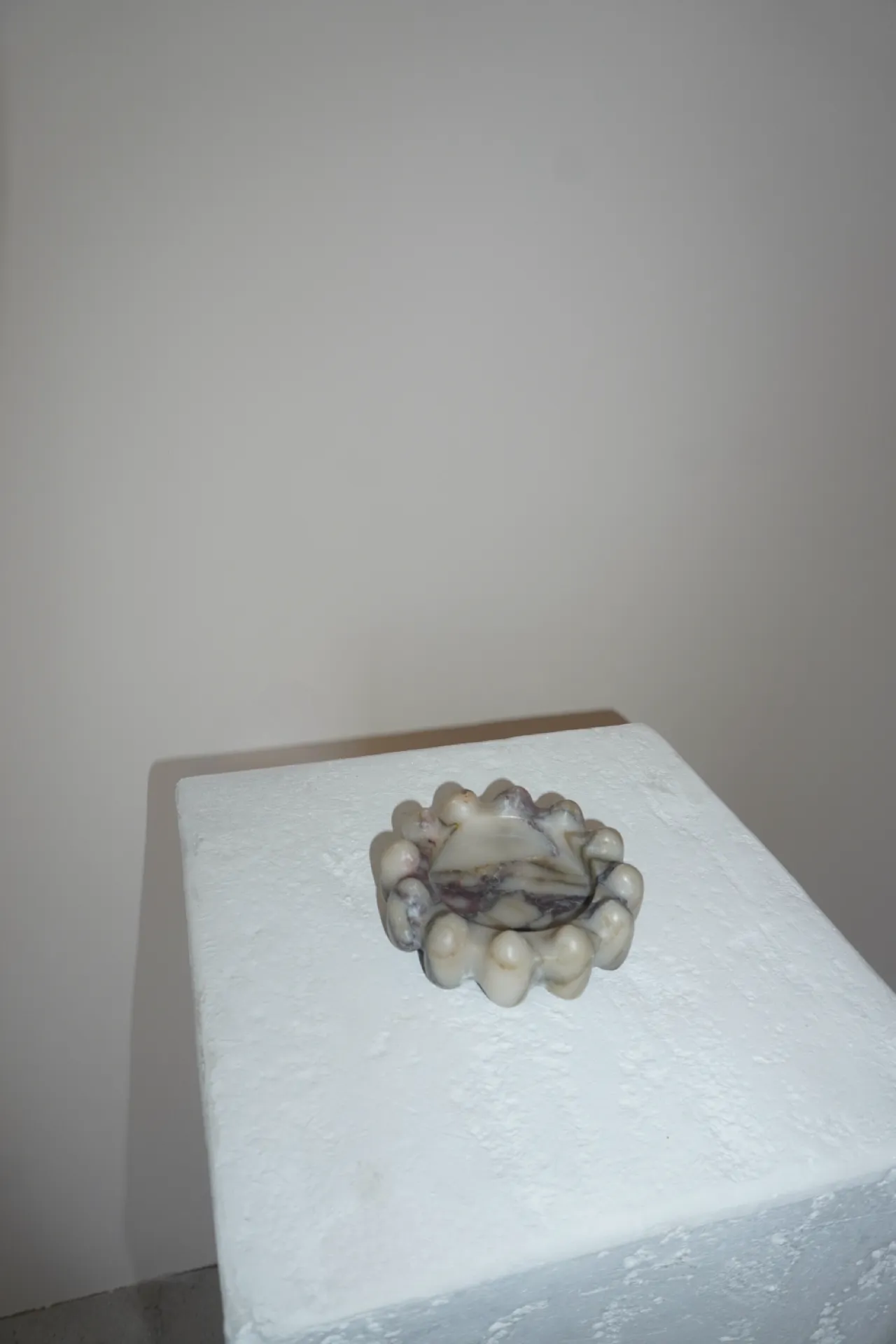 Noma Tray