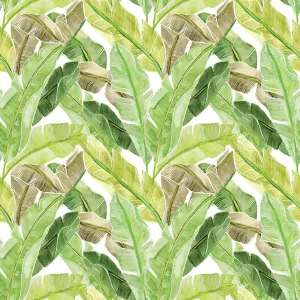 Palm Leaves Mural Wallpaper