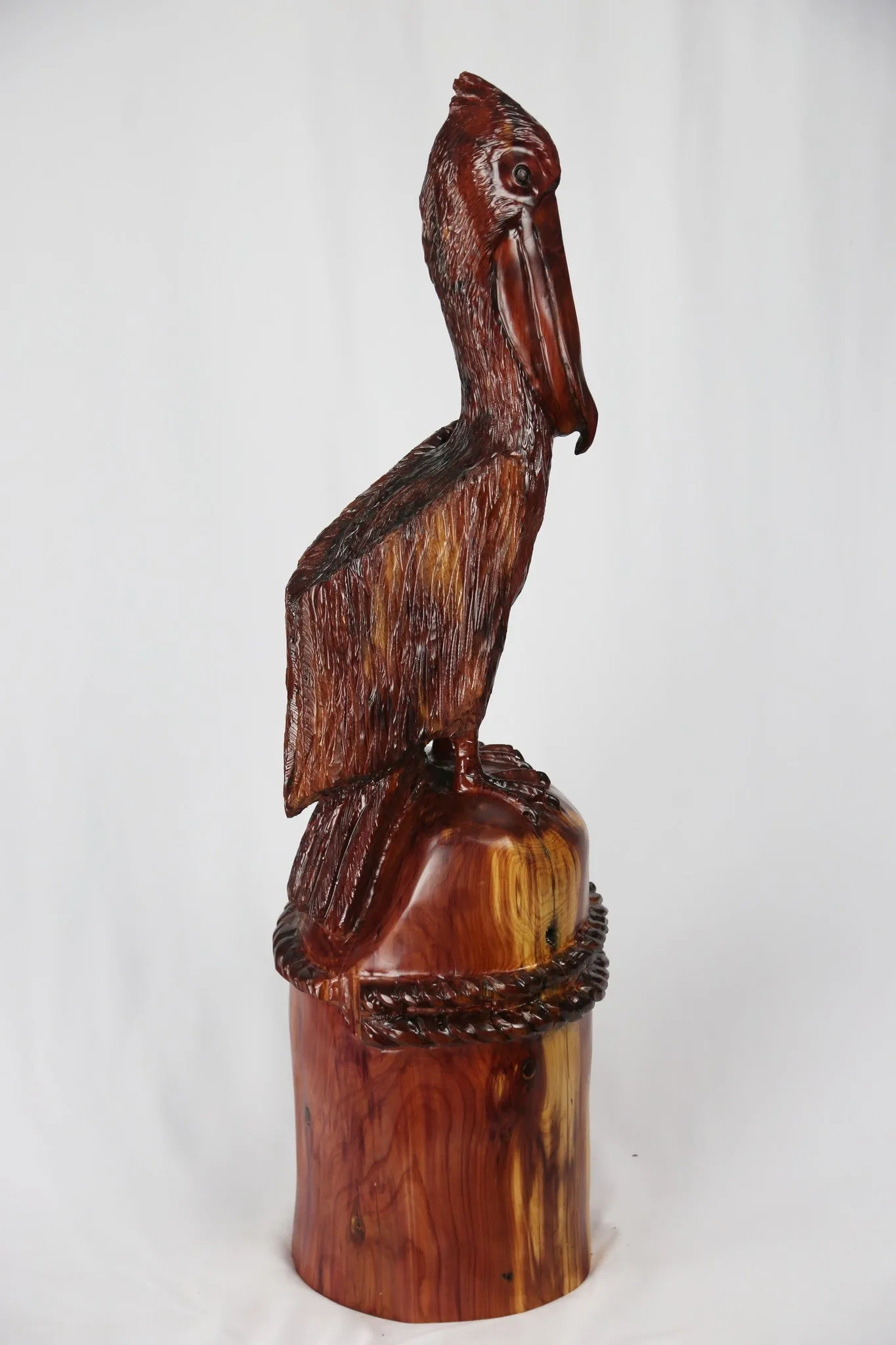 Pelican