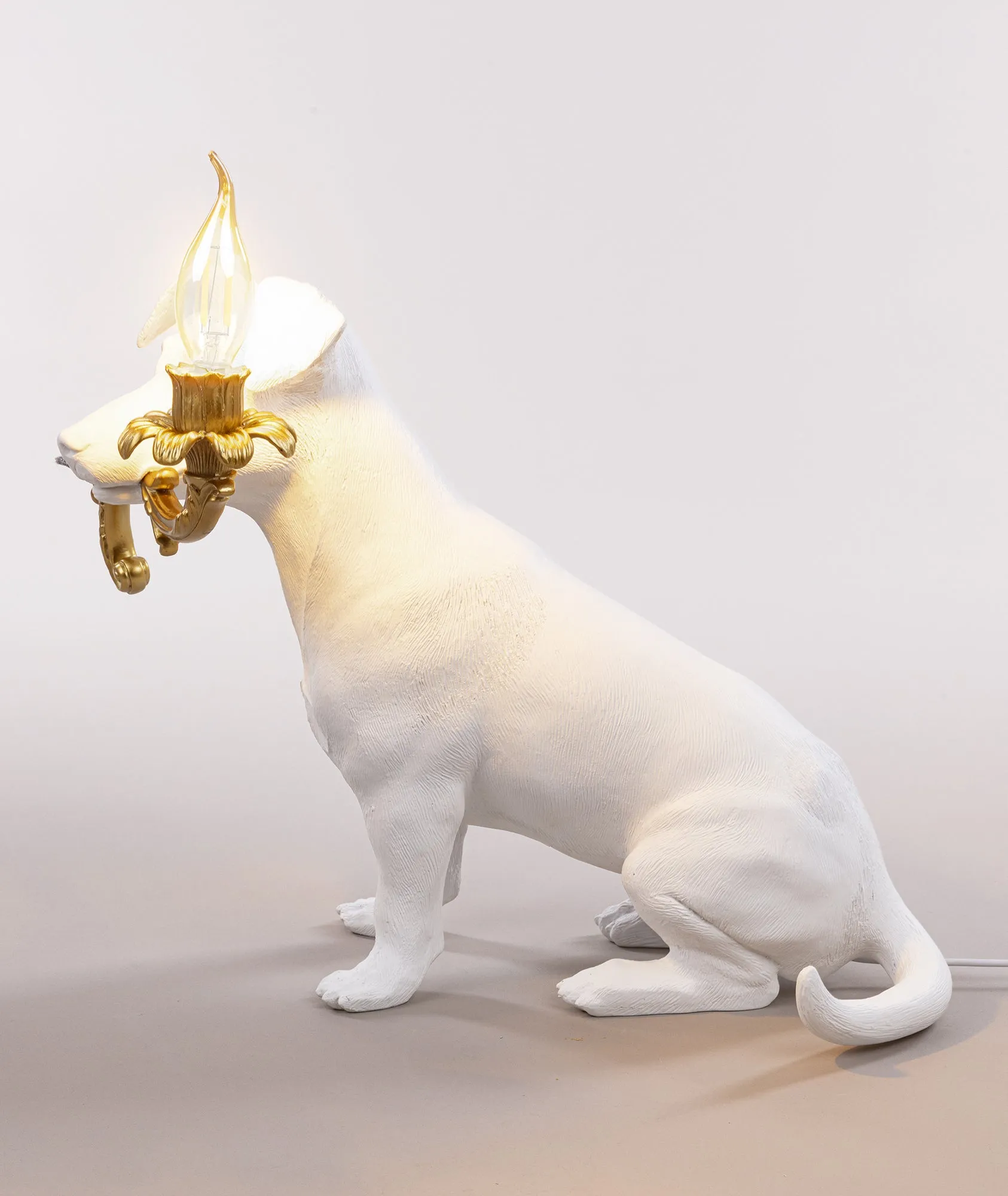 Rio Lamp
