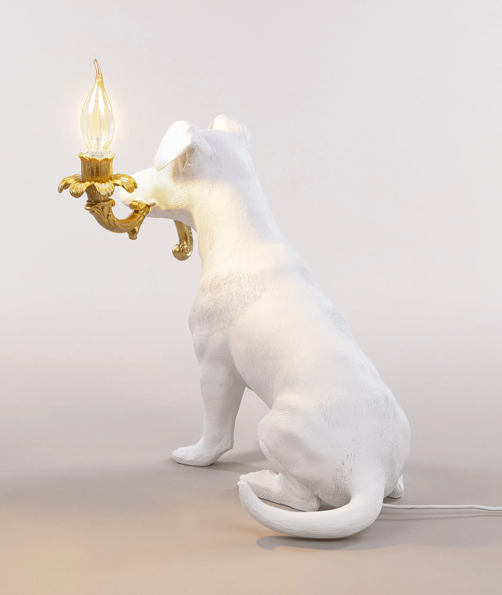 Rio Lamp
