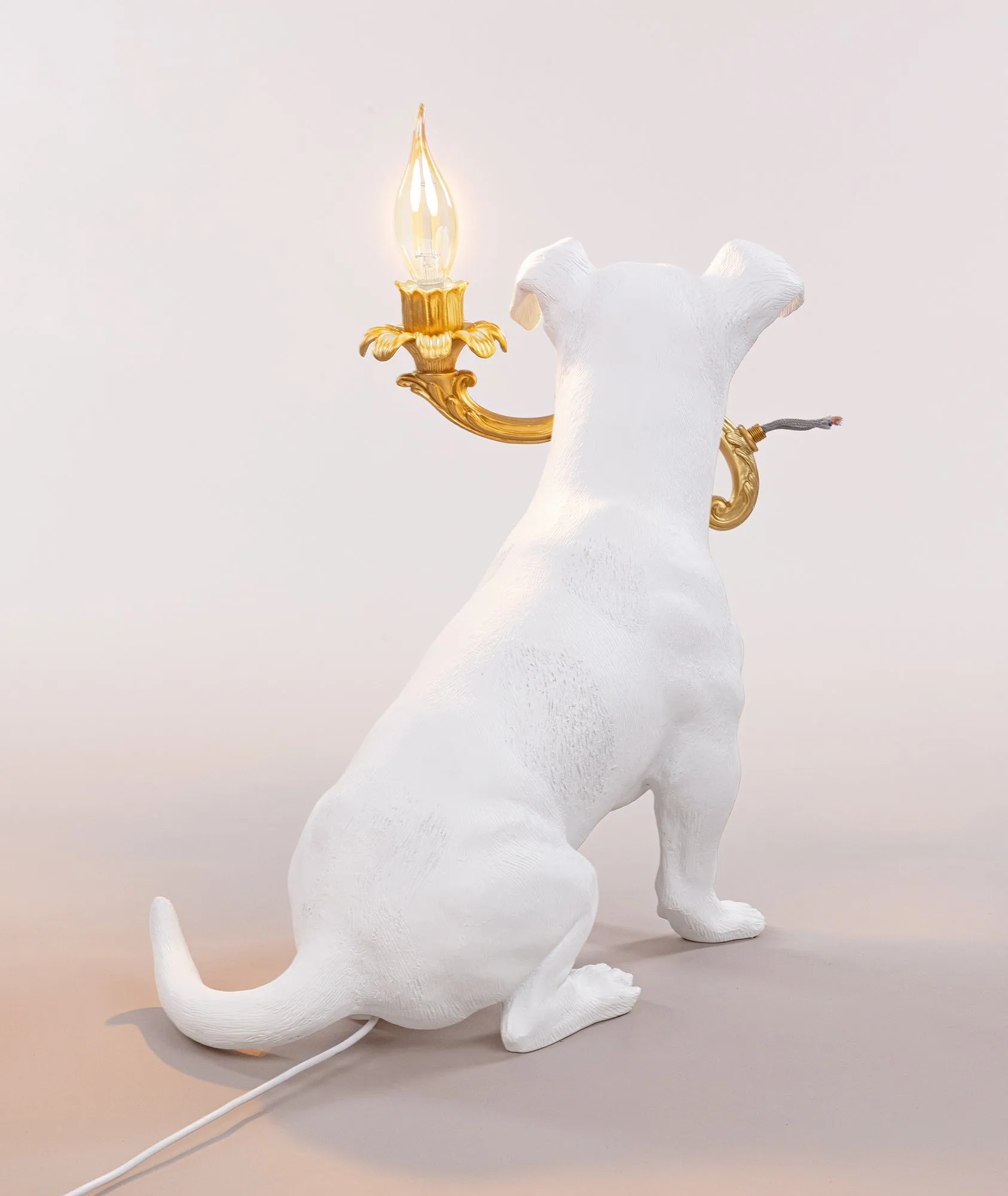 Rio Lamp