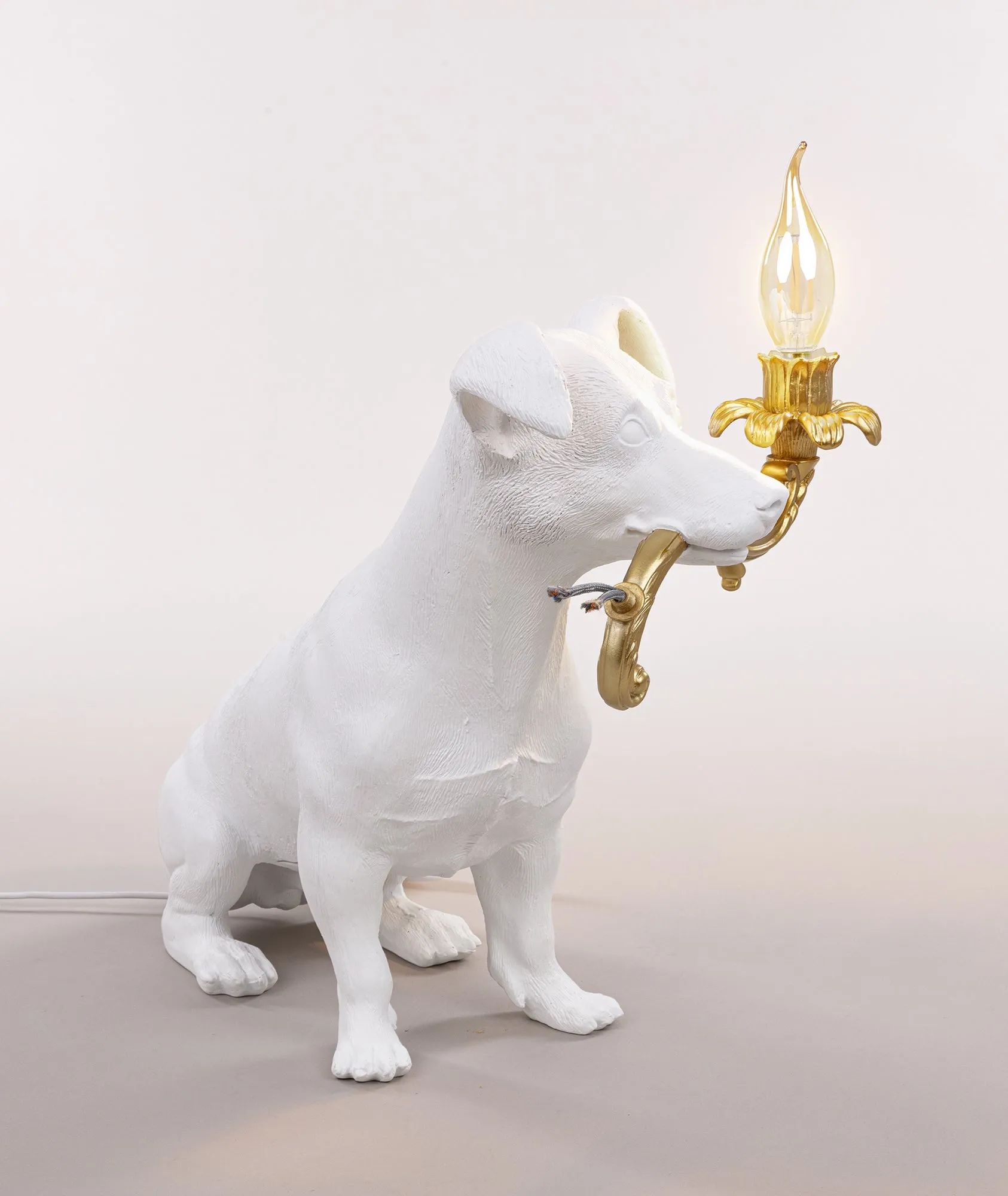 Rio Lamp