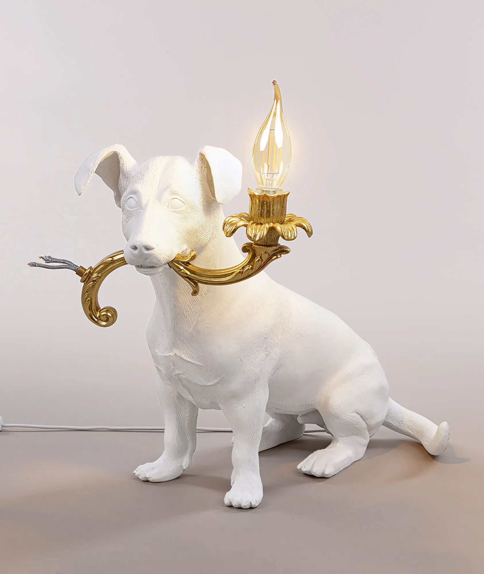 Rio Lamp