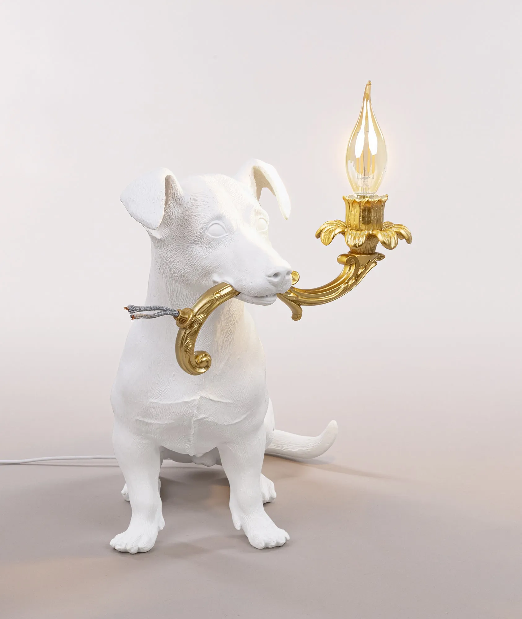 Rio Lamp
