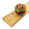 Tiny Burger Knit Kit
