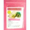 Tiny Turtle Knit Kit